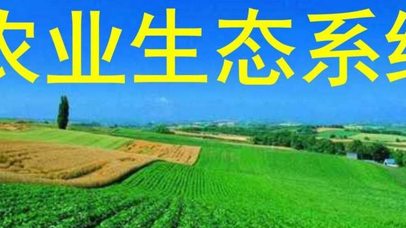 农业用地选址：科学规划，提升产出**