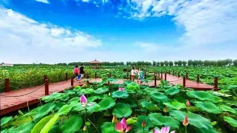 高端玻璃温室大棚：农业现代化的关键设施