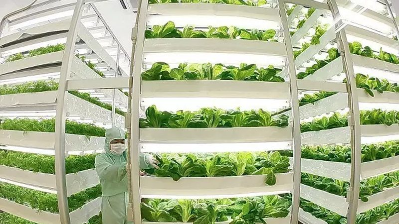 绿色食品标志能管多久？过了期还能用吗
