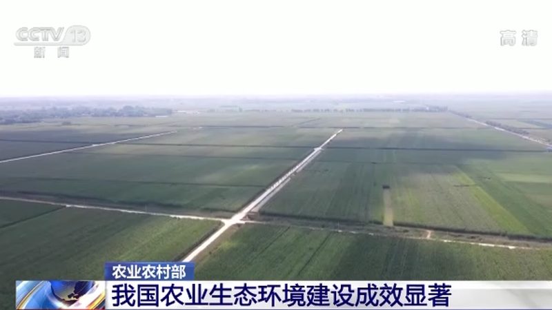农产品配送收费标准规范：揭秘合理定价的奥秘