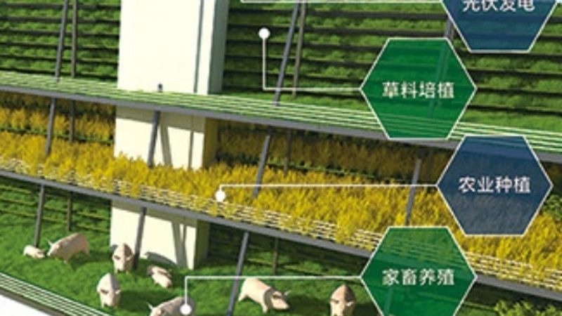 果蔬配送区域代理加盟：标准规范与市场洞察