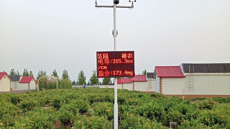新疆水果种植：气候条件与成本考量