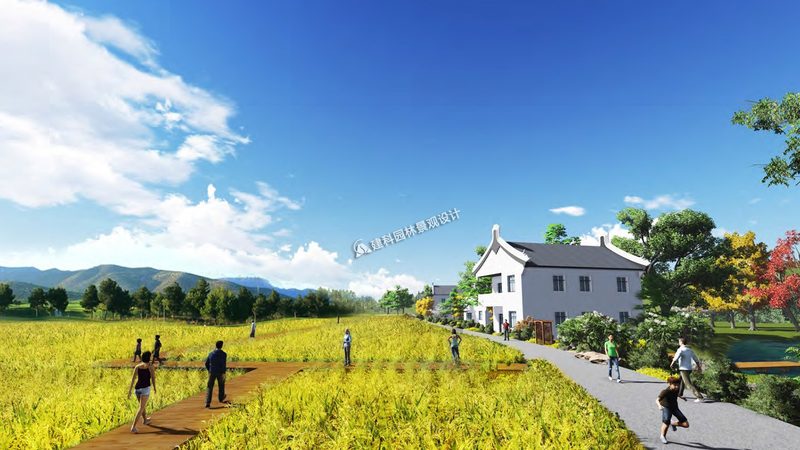 蓝莓种植间距：如何平衡土壤健康与产量提升