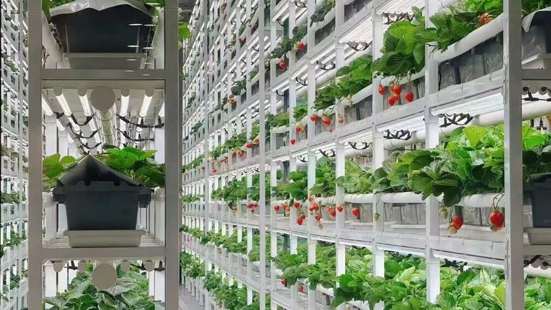 食堂配送服务选型，这三大误区最该避开