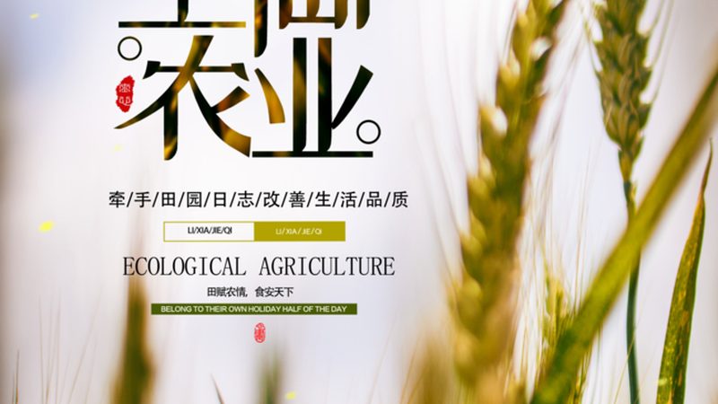 果蔬配送中心的价格表，藏着哪些门道